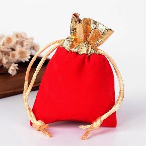 Shiny Gold and Red Velvet Pouch