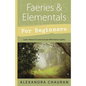 Faeries and Elementals for Beginners Book