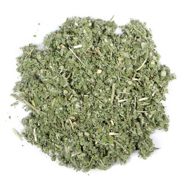 Horehound USDA natural herb