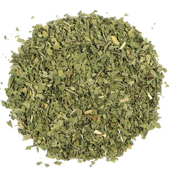 Nettle Leaf - North American - USDA organic herb